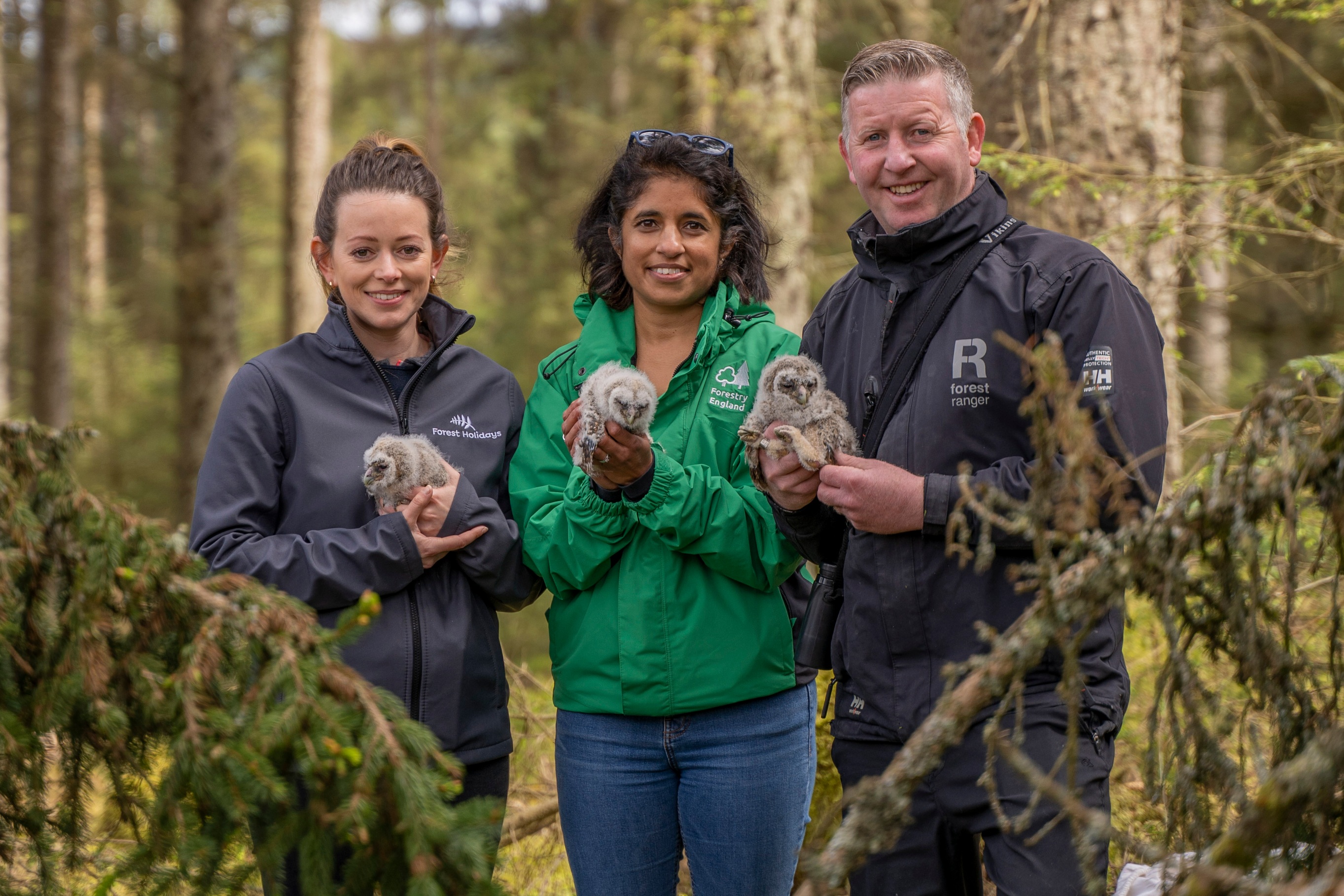 Our biodiversity partnership with Forest Holidays Forestry England